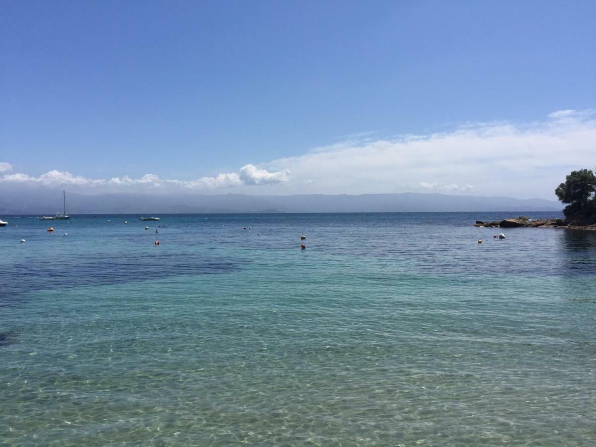 Vizzavona Piscine Et Jacuzzi * Ajaccio (Corsica)
